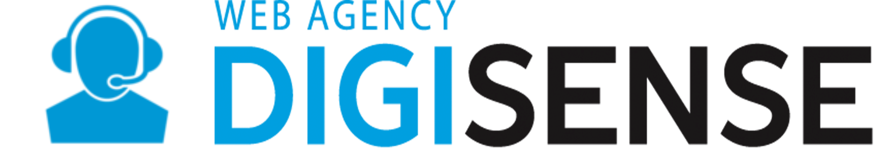 Support Digisense